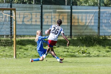 Bild 433 - wBJ Hamburger SV - VfL Wolfsburg : Ergebnis: 5:1